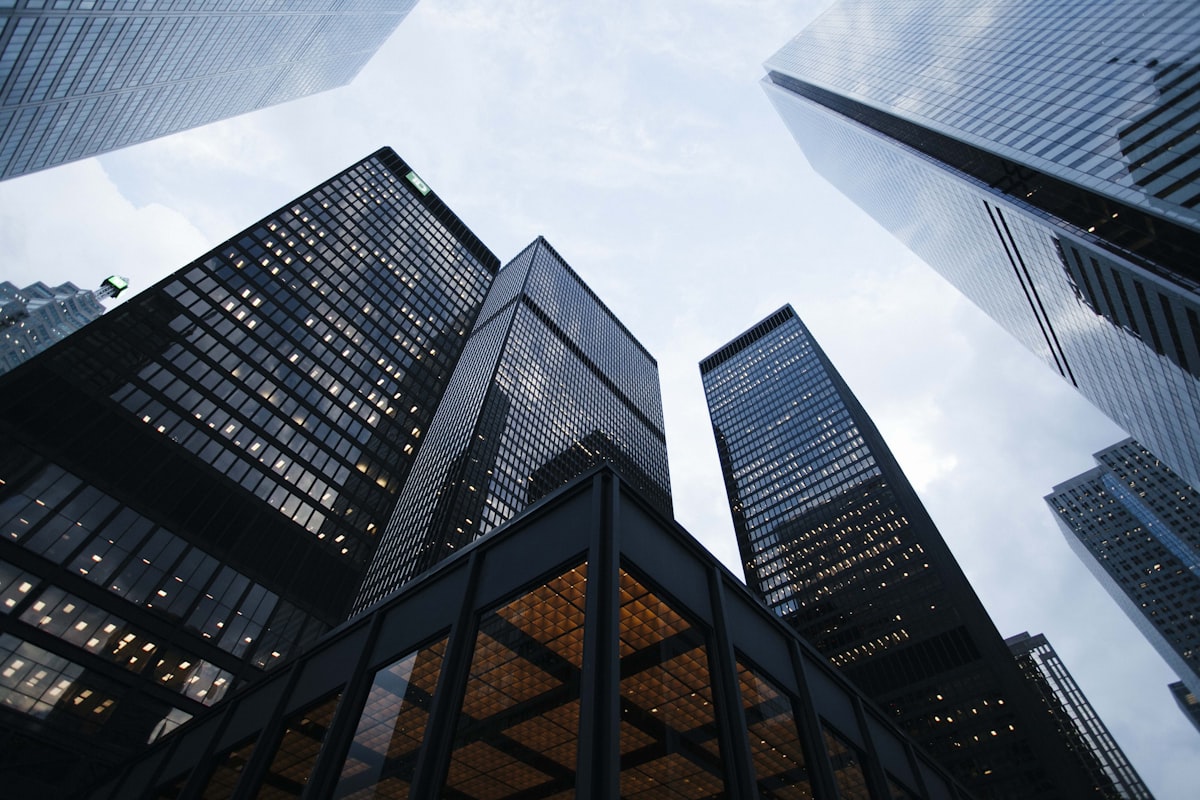 Corporate Business Vision and Growth
