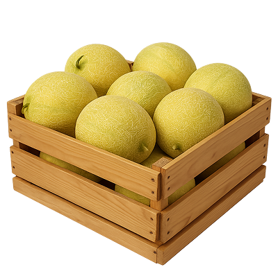Fresh Produce Preservation Transport